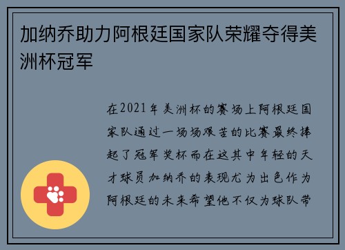 加纳乔助力阿根廷国家队荣耀夺得美洲杯冠军 加纳乔助力阿根廷国家队荣耀夺得美洲杯冠军